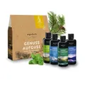 Produktbild: Allgäuquelle Bio Sauna Aufgussmittel Set 4x100ml Eukalyptus, Zirbe, Minze, Lemon