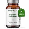 Produktbild: Kräutermax Feigenkaktus 500 mg plus Vitamin B1, B2, B6, B12, C Kapseln