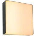 Produktbild: Außenleuchte Paulmann, Azalena, dimmbar, Schwarz, Aluminium - 25 - 25