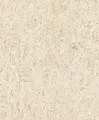 Produktbild: Rasch Tapete 538328 - Beige-goldene Vliestapete mit Kork-Optik im industriellen Design aus der Kollektion Curiosity - 10,05m x 0,53m (LxB)
