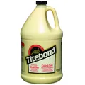Produktbild: Titebond Extend Holzleim Gallon 3,8 L