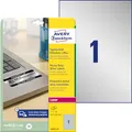 Produktbild: AVERY Zweckform L6013-20 Typenschild Folienetiketten (20 Aufkleber, 210x297mm auf A4, stark selbstklebend, strapazierfähig, wetterfest, bedruckbare Klebefolie, blanko) 20 Blatt, silber