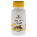 Produktbild: WILD YAM Extrakt Kapseln 100 St