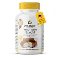 Produktbild: Wild Yams Extrakt Kapseln - 100 Kapseln - schluckfreundlich - Plus Vitamin C & E, Beta-Carotin, Zink & Selen - hochdosiert & vegan - 20% Diosgenin | Warnke Vitalstoffe - Deutsche Apothekenqualität