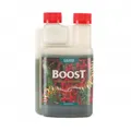 Produktbild: Canna BOOST Accelerator 250 ml