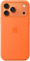 Produktbild: Apple Silikonhülle mit MagSafe auf iPhone 17 Pro Max orange