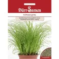 Produktbild: Dürr Samen Katzengras Saatgut