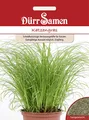 Produktbild: Katzengras Saatgut von Dürr-Samen