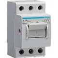 Produktbild: Hager Hauptschalter Grau 3polig 63 A (SH363N)
