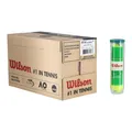 Produktbild: Wilson Methodikbälle Stage 1 Starter Play Green Dose 18x4er Karton