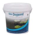 Produktbild: AquaForte Oxypond 1 kg - Teichpflegemittel mit Aktivsauerstoff