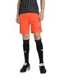 Produktbild: PUMA teamLIGA Shorts