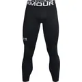 Produktbild: Under Armour Cold Gear Armour Tights Herren in black, Größe L HW 2025