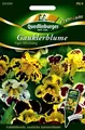 Produktbild: Gauklerblume Tiger Mischung - Frühblühende, exotische Sommerblume - Blumen Samen
