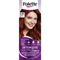 Produktbild: 3838824159898 Palette Farba Intensywna Czerwień 6-88 Henkel Polska Sp. z o.o.
