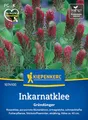 Produktbild: Kiepenkerl Inkarnatkleesamen Rosenklee 1074100 – Rosenklee mit purpurroten Blüten - Nützlingsfreundlich und Ertragreich - Wildblumensamen, Blumenwiese