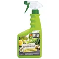 Produktbild: COMPO BIO Grundstoff Brennnessel AF 750 ml anwendungsfertig in Sprühflasche