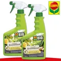 Produktbild: COMPO BIO 2 x 0,75l Grundstoff Brennessel Schädlingsabwehr 100% natürlich Urtica