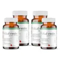 Produktbild: Blasenflora Kapseln - Probiotika bei bakterieller Vaginosis - Blasenentzündung (Harnwegsinfektion) - Gyno-biotic *Apotheken Qualität seit 25 Jahren* (4x 60 Kapseln)