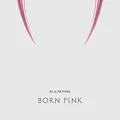 Produktbild: Born Pink (Kit Album - Premium)