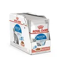 Produktbild: Royal Canin Indoor Sterilised in Soße | 12 x 85 g | Alleinfuttermittel für ausgewachsene Katzen die im Haus Leben | Für sterilisierte Katzen | Häppchen in Soße