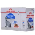 Produktbild: Royal Canin Fhn Indoor Wet Sauce - Katzenfutter für Erwachsene - 12X85G