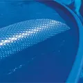 Produktbild: Summer Fun Pool-Solarfolie Standard für Rundpools Ø 450 cm bis 460 cm