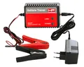 Produktbild: 1x Batterietrainer 12V 500mA HP 20817
