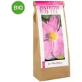 Produktbild: Zistrose Bio Tee