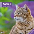 Produktbild: Katzen Broschürenkalender 2026 - 30x30 - Art12 | Niedlicher Tier-Kalender im schlanken Hochformat (aufgeklappt 30x60 cm) | mit Eintrage-Kalendarium