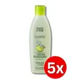 Produktbild: 5er Pack Swiss-o-Par Shampoo Tiefenreinigung Reinigung & Glanz 250ml