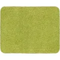 Produktbild: Astra-Kollektion Sauberlaufmatte Entra Saugstark Grün 60 cm x 75 cm