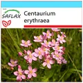 Produktbild: SAFLAX - Geschenk Set - Heilpflanzen - Tausendgüldenkraut - 250 Samen - Mit Geschenk- / Versandbox, Versandaufkleber, Geschenkkarte und Anzuchtsubstrat - Centaurium erythraea