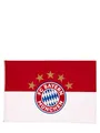 Produktbild: FC Bayern München Hissfahne I Bannerfahne I Logo I Rot-Weiß I 180 x 120 cm