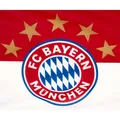 Produktbild: Hissfahne 5 Sterne Logo FC Bayern München 180x120 cm Flagge Fahne Hissflagge FCB