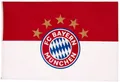Produktbild: FC Bayern München Hissfahne Logo 28325