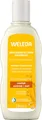 Produktbild: WELEDA Replenish & Care Shampoo Hafer 6 x 190 ml