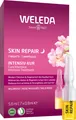 Produktbild: Weleda Wildrose Skin Repair Intensiv-Kur 7 Ampullen 5,6 ml (3033,93 EUR/l)