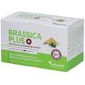 Produktbild: Cellavent Healthcare BRASSICA PLUS Kapseln