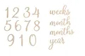 Produktbild: Pearhead Wooden Milestone Numbers & Words, Baby Announcement Cards, Milestone Marker Keepsakes, Pregnancy Milestone Markers, Wooden Photo Props for Pregnancy and Baby