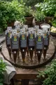 Produktbild: COMPO BIO Grünpflanzen Aufbaukur 10 x 30 g