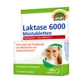 Produktbild: SUNLIFE® Laktase 6000 FCC Minitabletten 100 Stk Laktose-Intoleranz Laktoseabbau
