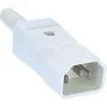 Produktbild: Bachmann Kaltgerätestecker mit Schutzkontakt weiß