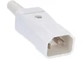Produktbild: Bachmann 915.271 Kaltgeraetestecker weiss C14 70-Grad