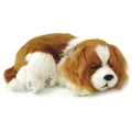 Produktbild: Perfect Petzzz 96309 Cavalier King Charles