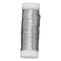 Produktbild: Rayher 2402500 Silberdraht mit Kupferkern, 0,30 mm ø, Kunststoffspule 100 m, nickelfrei, Silberdraht (100 m) (2402500)