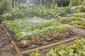 Produktbild: Gardena Micro-Drip-System Border Set - Micro-Drip-System Set (13450-20)