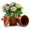 Produktbild: 4 Stück Blumentopf mit Untersetzer Pflanzkübel rund ø20cm Terracotta Made in EU