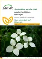 Produktbild: SAFLAX Blumensamen SAFLAX - Samen - Asiatischer Blüten - Hartriegel