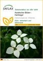 Produktbild: SAFLAX - Samen - Asiatischer Blüten - Hartriegel - 30 Samen